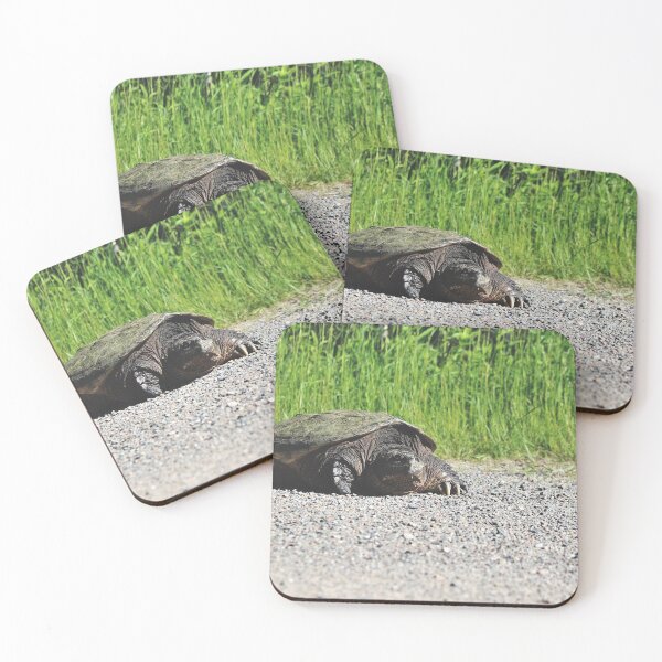 Item preview, Common Snapping Turtle (Chelydra serpentina) designed and sold by Kathleen Daley.