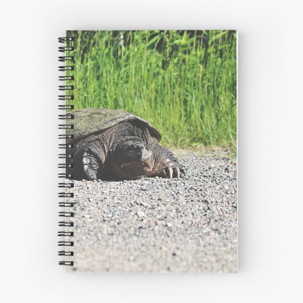 Item preview, Common Snapping Turtle (Chelydra serpentina) designed and sold by Kathleen Daley.