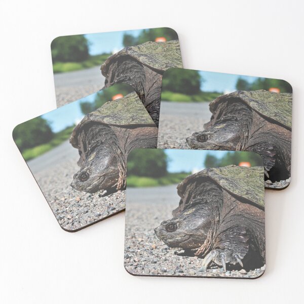 Item preview, Common Snapping Turtle (Chelydra serpentina) II designed and sold by Kathleen Daley.