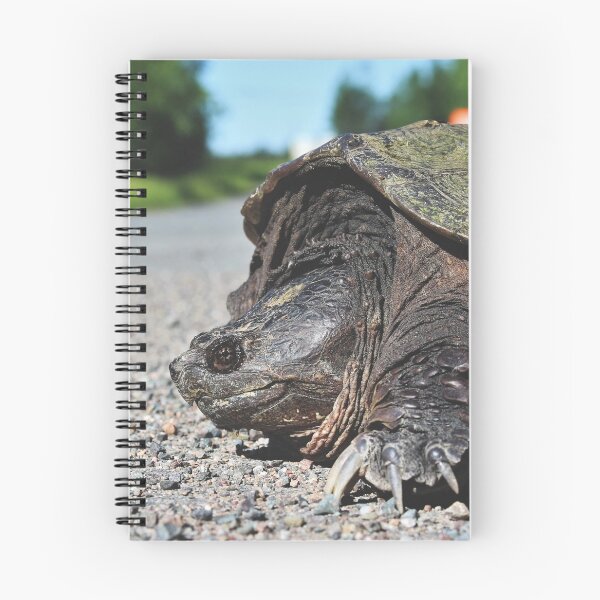 Item preview, Common Snapping Turtle (Chelydra serpentina) II designed and sold by Kathleen Daley.
