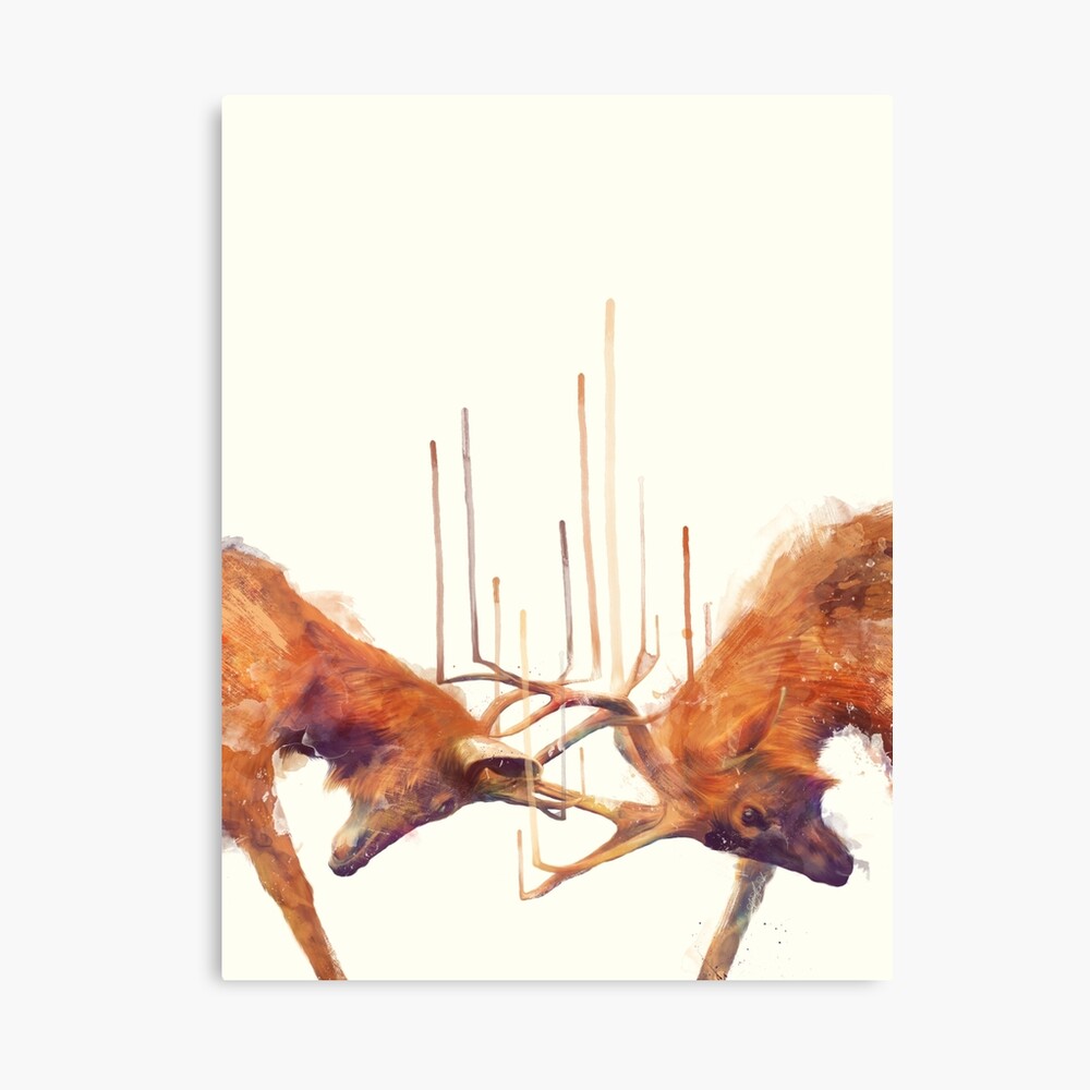 Stags // Strong Canvas Print
