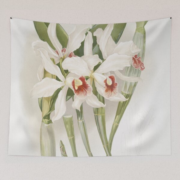 Item preview, Reichenbachia: Orchids Illustrated and Described designed and sold by EsotericBotanic.