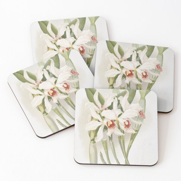 Item preview, Reichenbachia: Orchids Illustrated and Described designed and sold by EsotericBotanic.