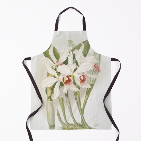 Item preview, Reichenbachia: Orchids Illustrated and Described designed and sold by EsotericBotanic.