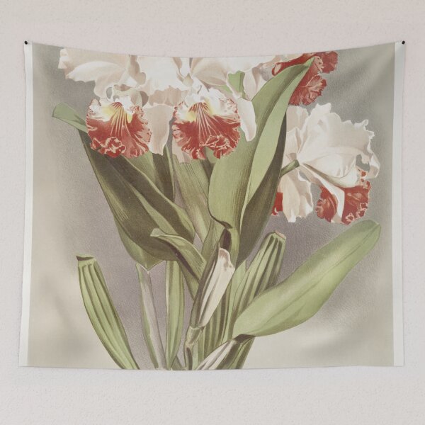 Item preview, Reichenbachia: Orchids Illustrated and Described designed and sold by EsotericBotanic.