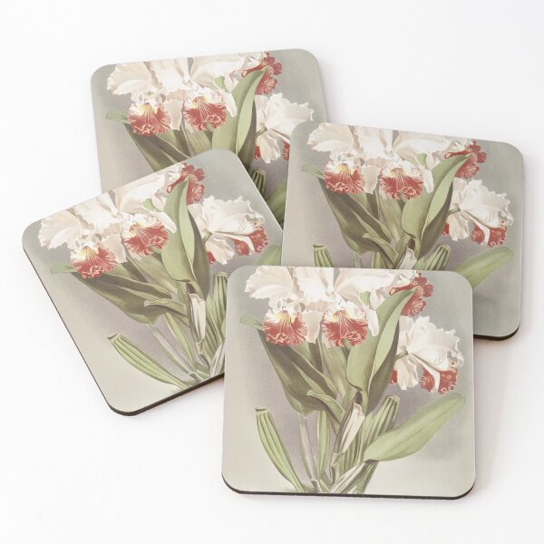 Item preview, Reichenbachia: Orchids Illustrated and Described designed and sold by EsotericBotanic.