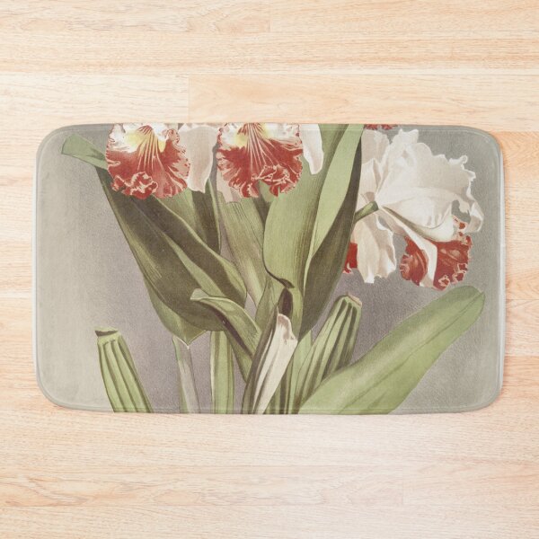 Item preview, Reichenbachia: Orchids Illustrated and Described designed and sold by EsotericBotanic.