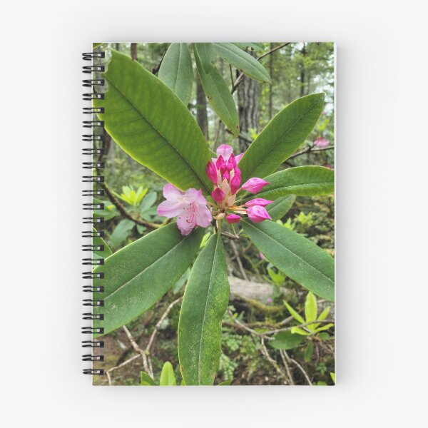 Item preview, Pink Rhody Flowers designed and sold by Djjin66.
