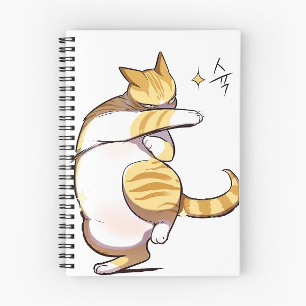 Item preview, Kayden Kungfu Nyan Nyan Punch designed and sold by VadaDutton.