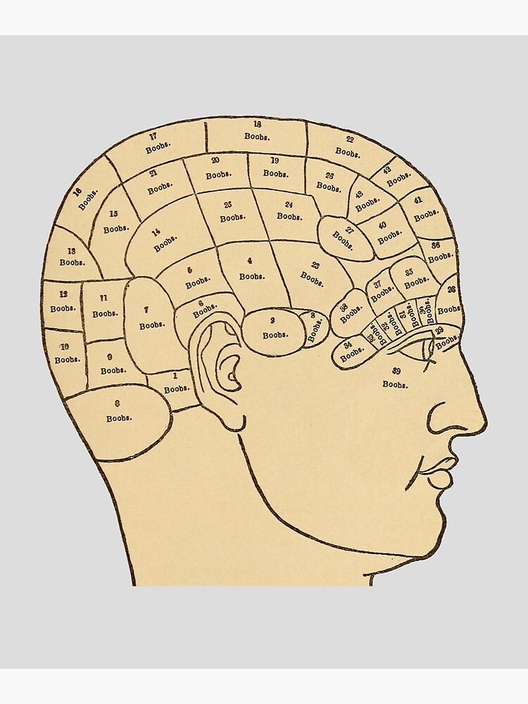 Ажыратымдылығы жоғары порно комикстері