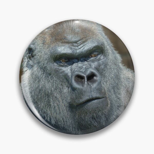 Item preview, Silverback Gorilla Portrait designed and sold by rawshutterbug.