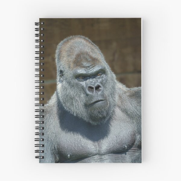 Item preview, Silverback Gorilla Portrait designed and sold by rawshutterbug.