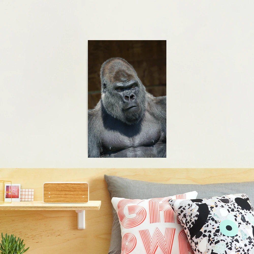 Gorilla Print Square Pillow 