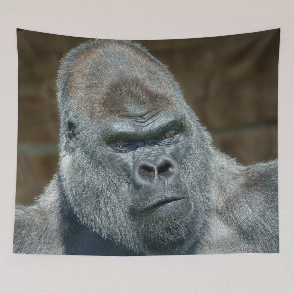 Item preview, Silverback Gorilla Portrait designed and sold by rawshutterbug.