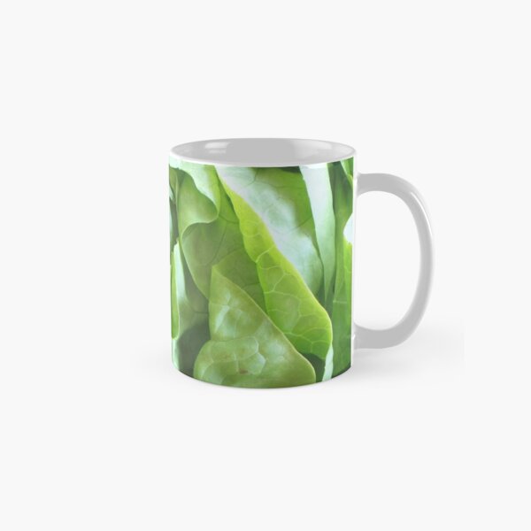 https://ih1.redbubble.net/image.2443973775.8222/mug,standard,x334,right-pad,600x600,f8f8f8.u1.jpg