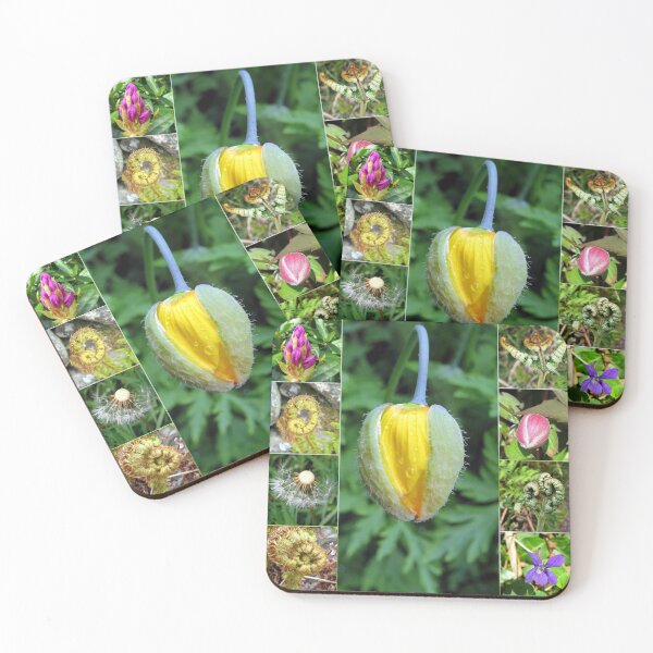 Item preview, spring flower and ferns designed and sold by KathleenDawson.