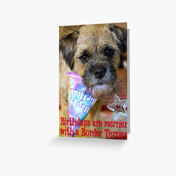 Border terrier Birthday card