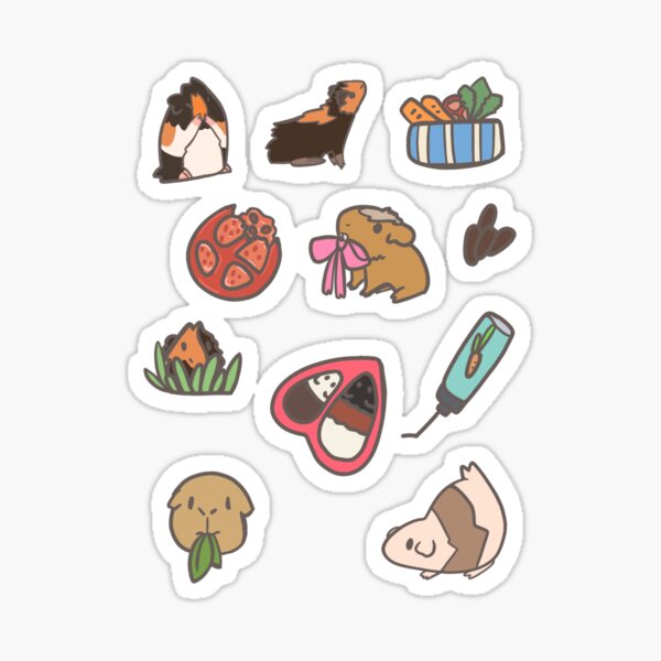 Guinea pig stickers Sticker