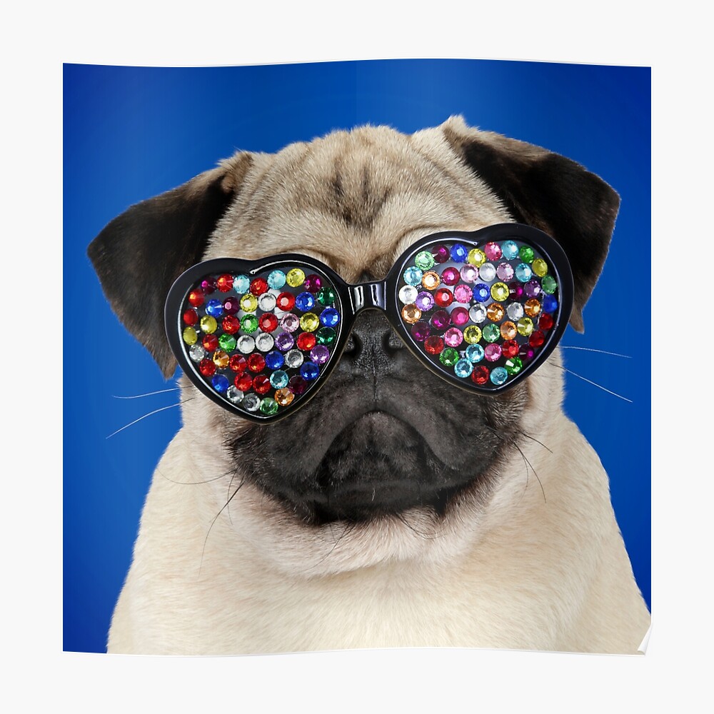 "Pug dog wearing heart shaped jewel sunglasses" Poster by