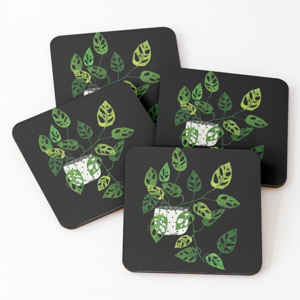Item preview, Monstera obliqua plant  designed and sold by Elbuenlimon.