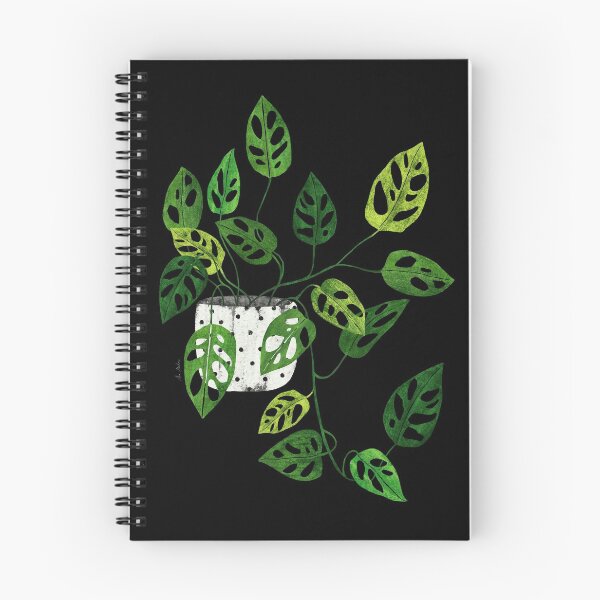 Item preview, Monstera obliqua plant  designed and sold by Elbuenlimon.
