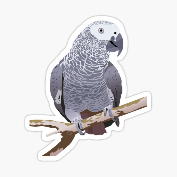 African Grey Parrot Sticker