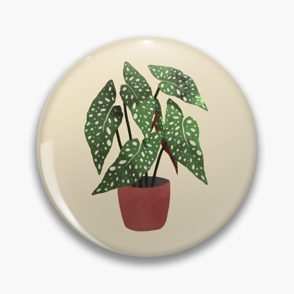 Item preview, Begonia maculata pot watercolor designed and sold by SvenNacht.