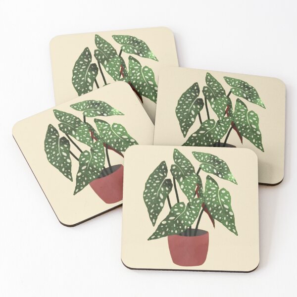 Item preview, Begonia maculata pot watercolor designed and sold by SvenNacht.