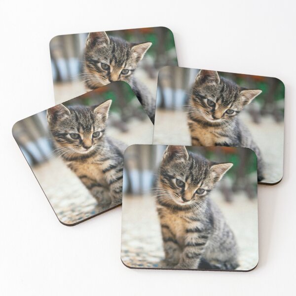 Item preview, Puzzled Adorable Kitten designed and sold by leea1l.