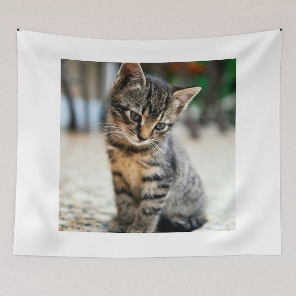 Aperçu de l'œuvre Adorable chaton perplexe créée et vendue par leea1l.