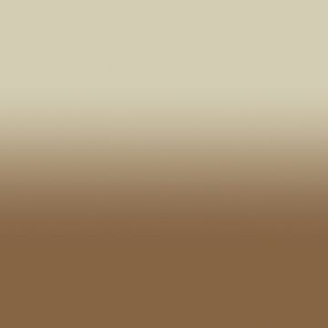 Artwork thumbnail, Tan Gradient by fdbweiss