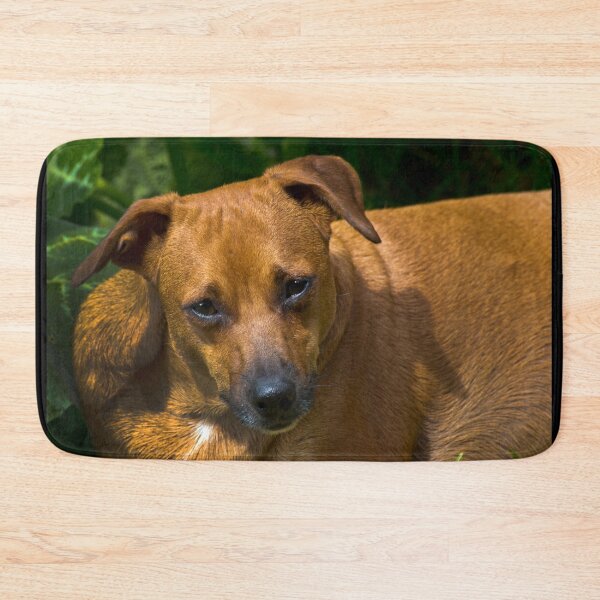 Item preview, Our Sad-Faced Nina designed and sold by alabca.