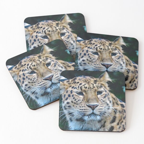 Item preview, A Beautiful Amur Leopard designed and sold by Karen Thomson.