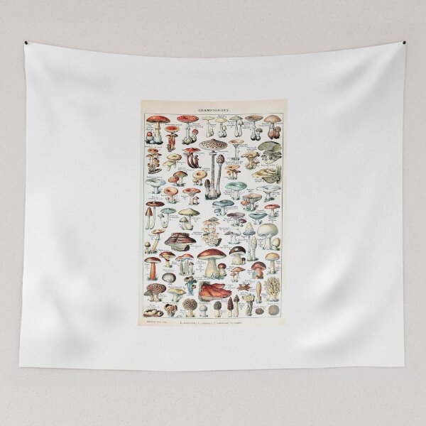 Item preview, Adolphe Millot - Champignons pour tous  designed and sold by Thomas  Tennant.