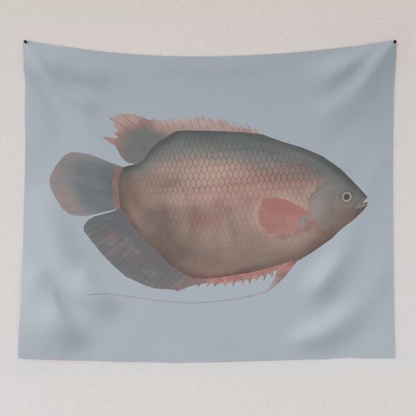 Item preview, Elephant Ear Gourami designed and sold by fishfolkart.