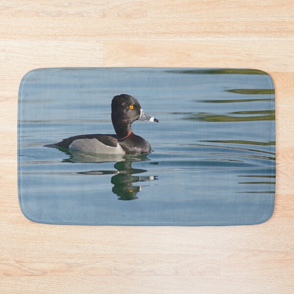 Item preview, Male Ring-necked Duck Photo designed and sold by KnutsonKr8tions.
