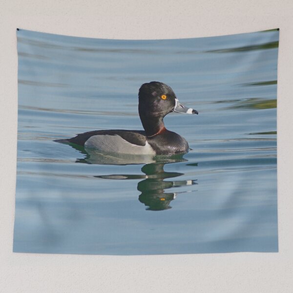 Item preview, Male Ring-necked Duck Photo designed and sold by KnutsonKr8tions.