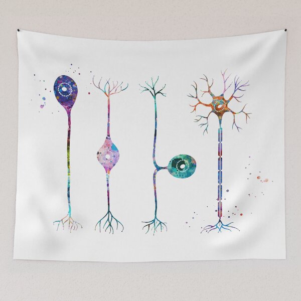 Item preview, Four Types of Neurons designed and sold by EvasDreams.
