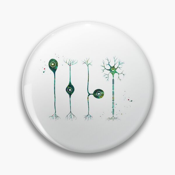 Item preview, Four Types of Neurons designed and sold by EvasDreams.