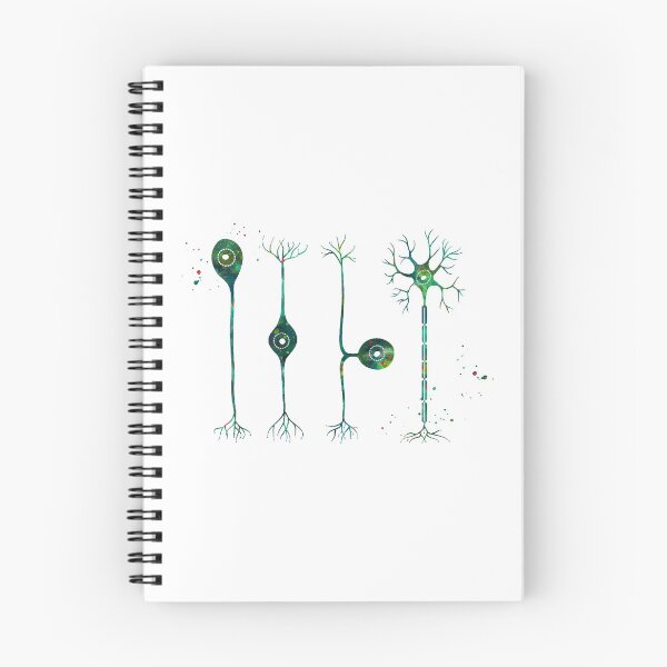 Item preview, Four Types of Neurons designed and sold by EvasDreams.