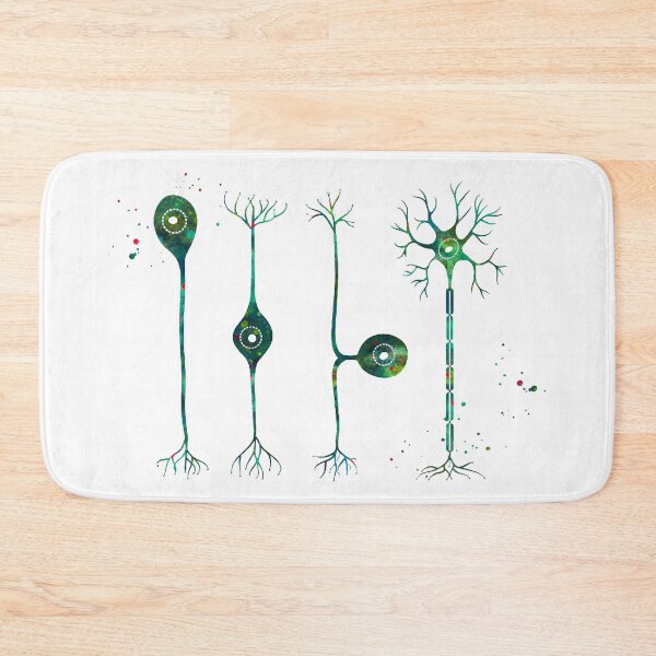 Item preview, Four Types of Neurons designed and sold by EvasDreams.