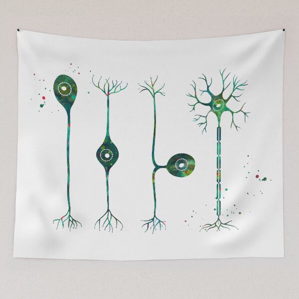 Item preview, Four Types of Neurons designed and sold by EvasDreams.