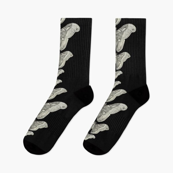 Item preview, Atlas Moth Line. Grey. designed and sold by NhfOriginals.