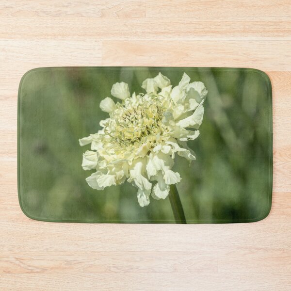 Item preview, Scabiosa columbaria designed and sold by Dave Hare Photography.