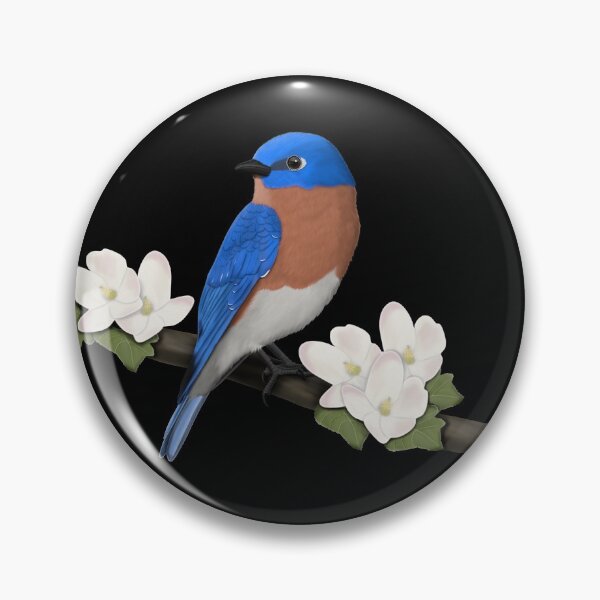 Item preview, Eastern Bluebird bird garden bird illustration biologist ornithologist birdlover designed and sold by jz-birds.