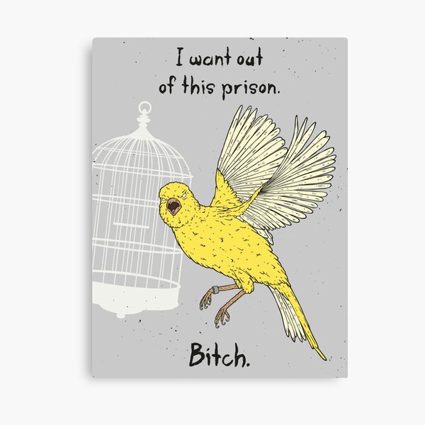 Angry Canary Canvas Print