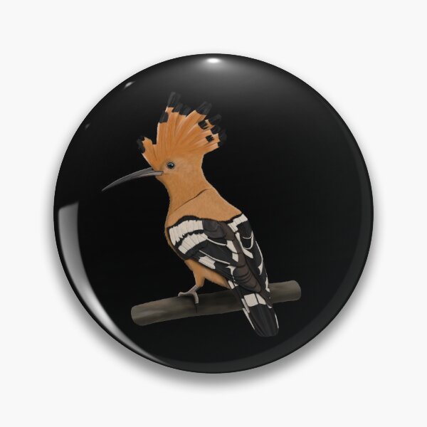 Item preview, Hoopoe bird garden bird illustration biologist ornithologist birdlover designed and sold by jz-birds.
