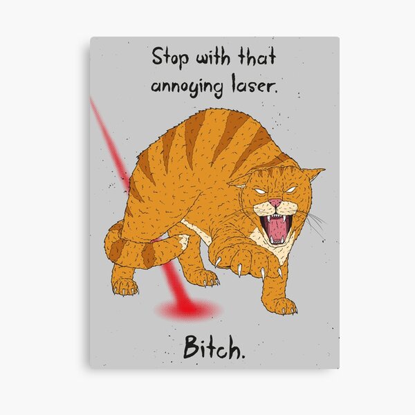 Angry Cat Canvas Print