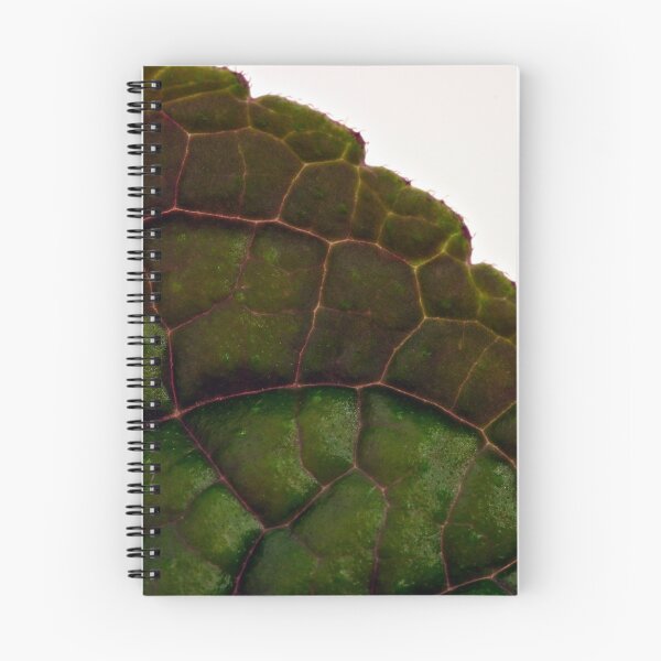 Item preview, Plecanthrus Leaf Details - Macro  designed and sold by Sandra Foster.