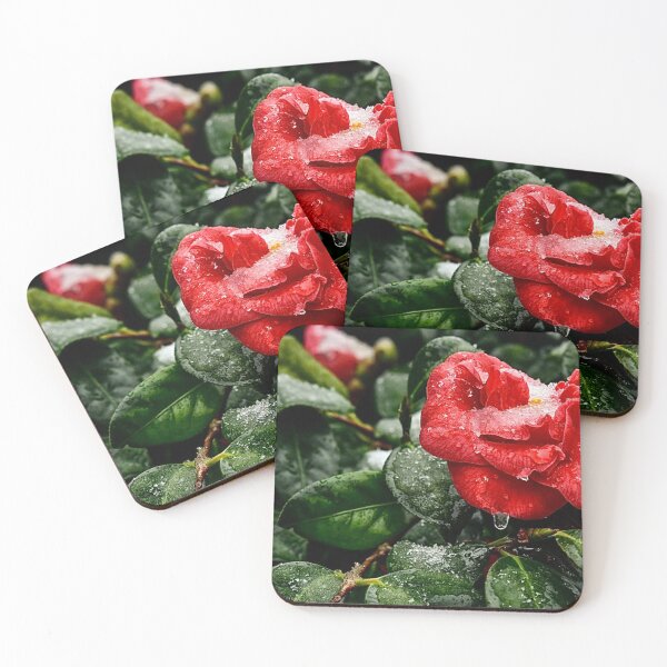 Item preview, Camellias in winter designed and sold by Jean-Luc Rollier.
